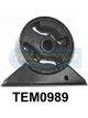 Transgold Engine Mount