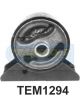 Transgold Engine Mount