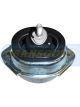 Transgold Engine Mount Hydro Front
