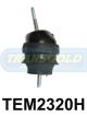 Transgold Engine Mount