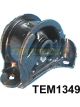 Transgold Engine Mount Rear