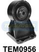 Transgold Engine Mount Rear M/T