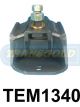 Transgold Engine Mount Rear