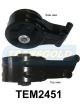 Transgold Engine Mount Rear