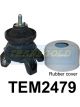 Transgold Engine Mount Rear