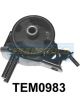 Transgold Engine Mount Rear