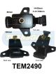 Transgold Engine Mount Front