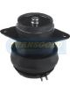 Transgold Engine Mount Hydro Rear RH