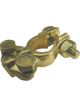 Tridon Matson Terminal Blister Pack of 1