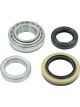 BWS Wheel Bearing Kit