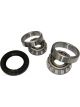 BWS Wheel Bearing Kit