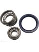 BWS Wheel Bearing Kit