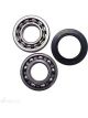 BWS Wheel Bearing Kit