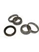 BWS Wheel Bearing Kit