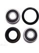 BWS Wheel Bearing Kit