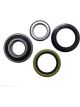 BWS Wheel Bearing Kit