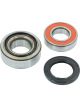 BWS Wheel Bearing Kit