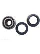 BWS Wheel Bearing Kit
