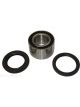 BWS Wheel Bearing Kit