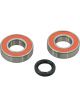 BWS Wheel Bearing Kit