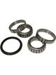 BWS Wheel Bearing Kit
