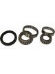 BWS Wheel Bearing Kit