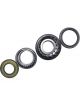 BWS Wheel Bearing Kit