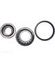 BWS Wheel Bearing Kit