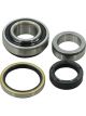 BWS Wheel Bearing Kit