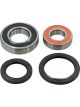 BWS Wheel Bearing Kit