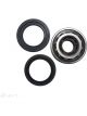 BWS Wheel Bearing Kit