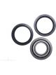 BWS Wheel Bearing Kit