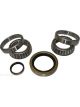 BWS Wheel Bearing Kit