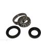 BWS Wheel Bearing Kit