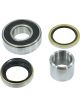 BWS Wheel Bearing Kit