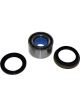 BWS Wheel Bearing Kit