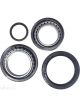 BWS Wheel Bearing Kit
