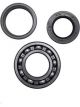 BWS Wheel Bearing Kit