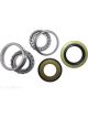 BWS Wheel Bearing Kit