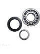 BWS Wheel Bearing Kit