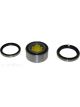 BWS Wheel Bearing Kit