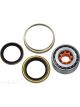 BWS Wheel Bearing Kit