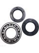 BWS Wheel Bearing Kit