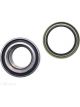 BWS Wheel Bearing Kit