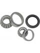 BWS Wheel Bearing Kit