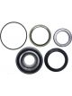 BWS Wheel Bearing Kit