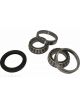 BWS Wheel Bearing Kit