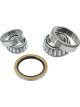 BWS Wheel Bearing Kit
