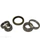 BWS Wheel Bearing Kit