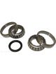 BWS Wheel Bearing Kit